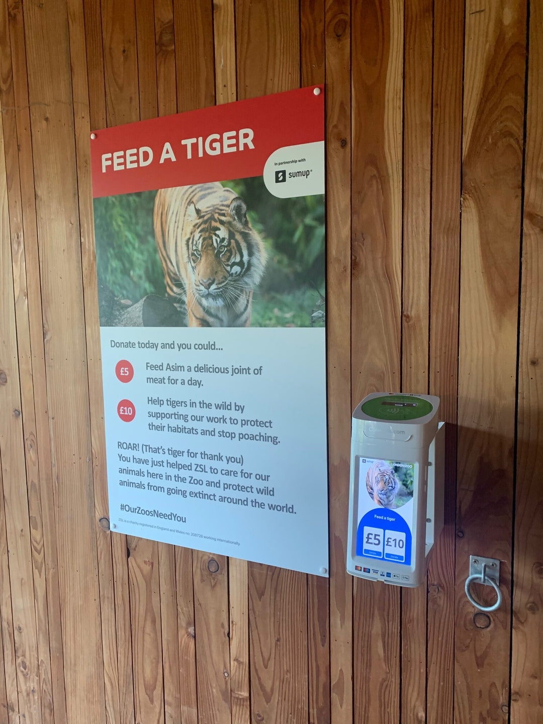 London Zoo raising funds with CollecTin